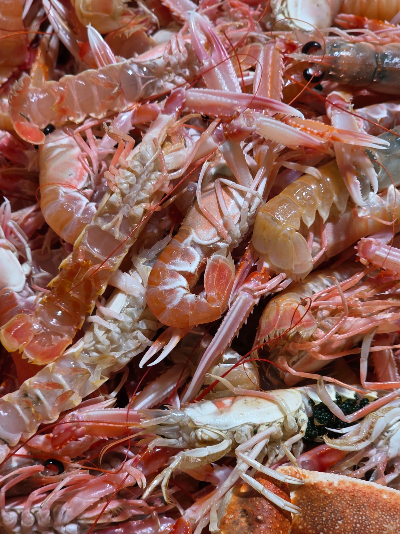 Scampi e gamberi crudi al banco del mercato.